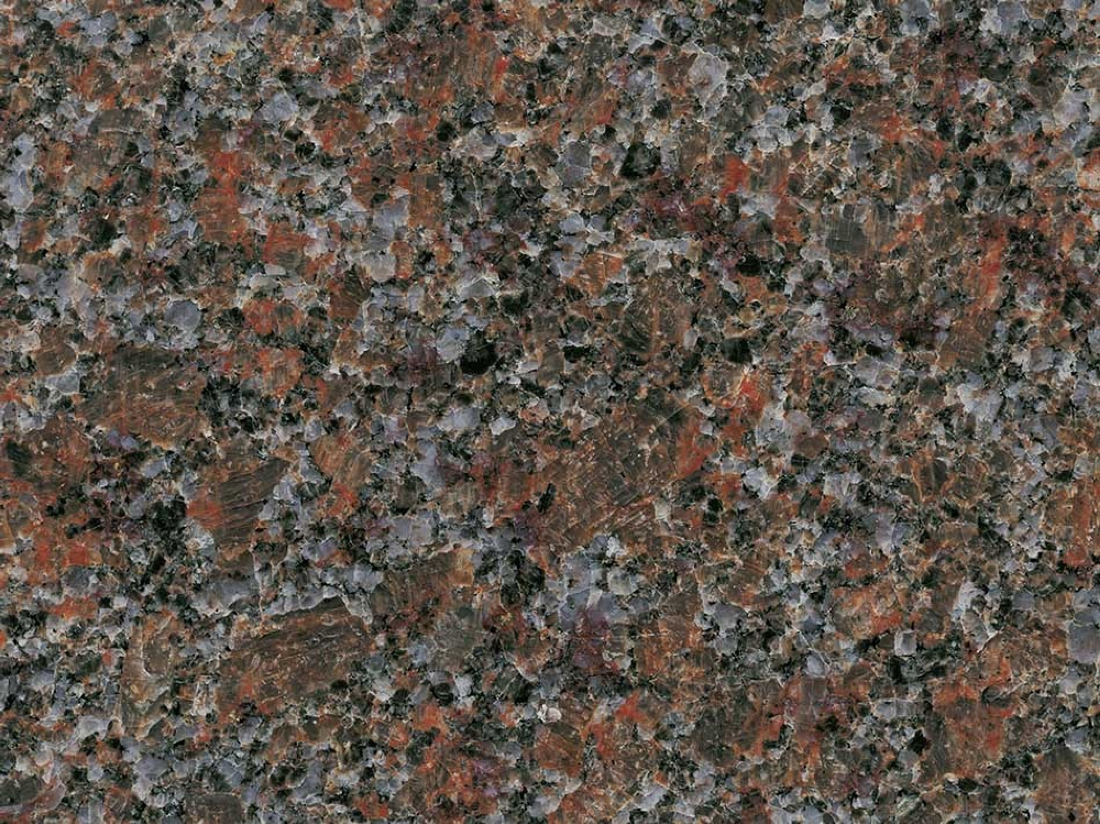 Mahogany Dakota Amerika