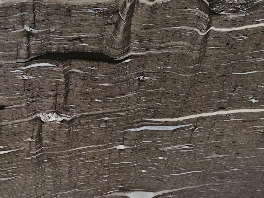 Brown Silk