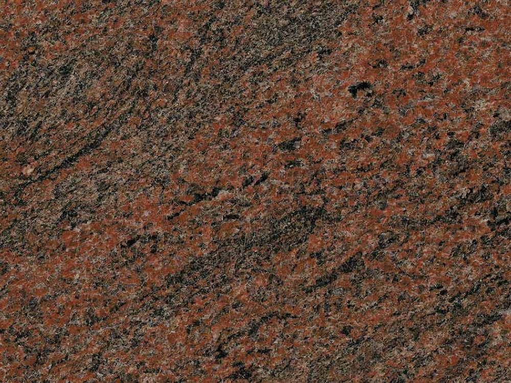 Multicolor Rot India