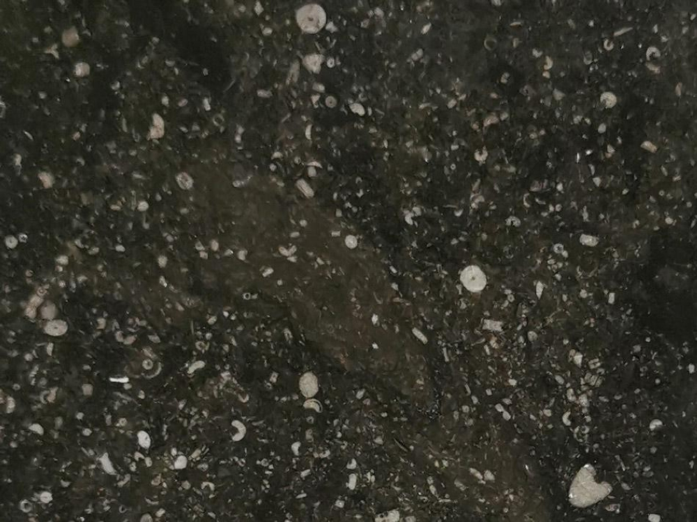 Belgisch (Granit) Kalkstein