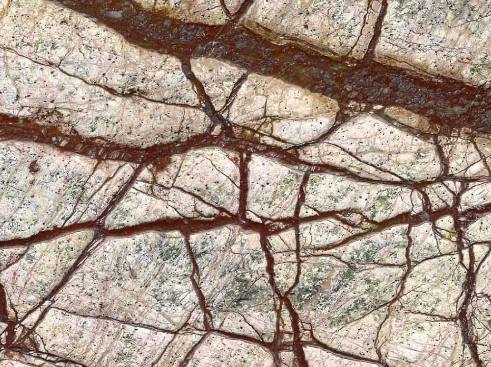 Rainforest Brown