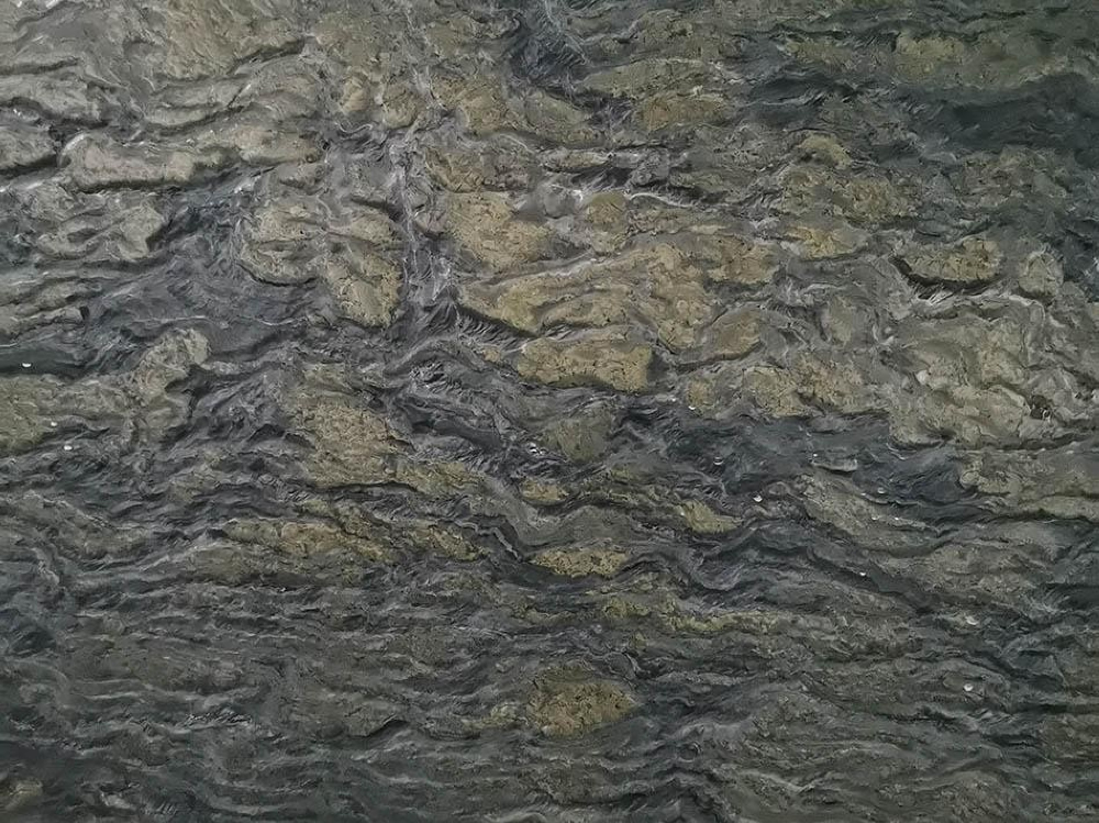 Verde Picasso