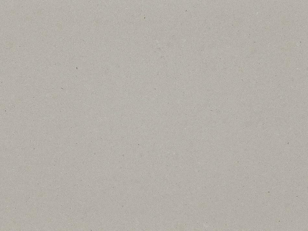 Caesarstone® Quarz 4004 Raw Concrete ICON